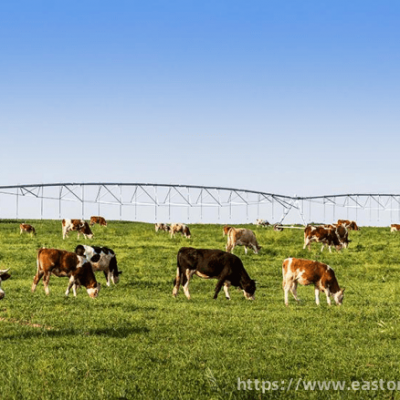 ‌Pasture Irrigation Equipment