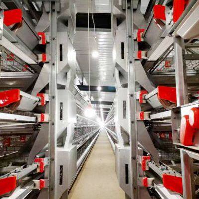 original manufacturer of stacked automatic cage equipment for laying hens/brooding and rearing chicks