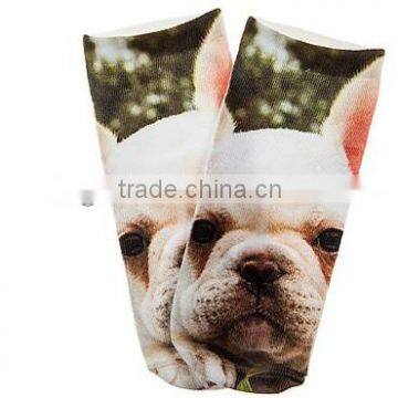 The Frenchie Puppy Ankle Socks