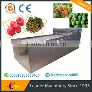 Leader automatic pineapple peeling machine with website:leaderservice005