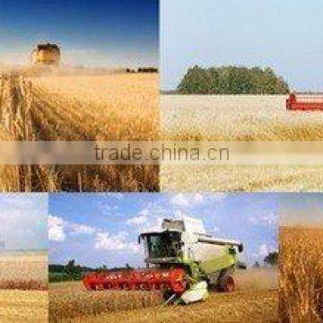 Blince High Pressure Oil Sealed VQ Rotary Vane Oil Pump for Harvester Scrollbars photo-6