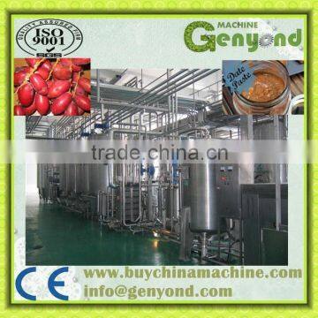 dates paste/honey/syrup production line / jujube paste production line / dates paste making machine