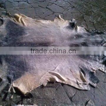 Wet Salted Cow Hide