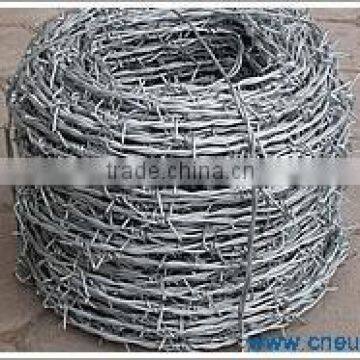 Galvanized Barbed Wire