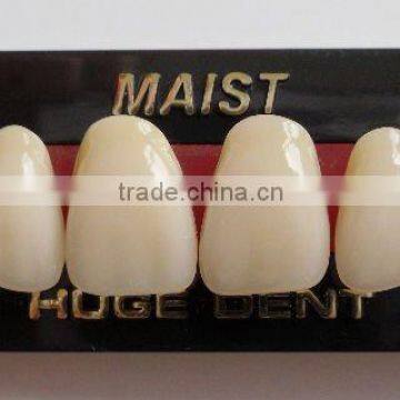 dental material synthetic polymer teeth MAIST T5