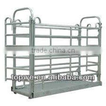 cattle weighing scale