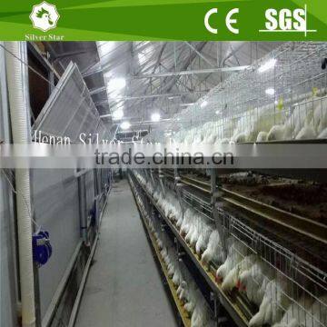 H Type Brooder/Brooding Cage/Pullet Rearing Cage/Broiler Cage