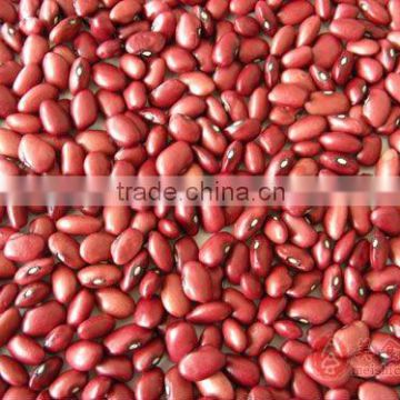 dried beans