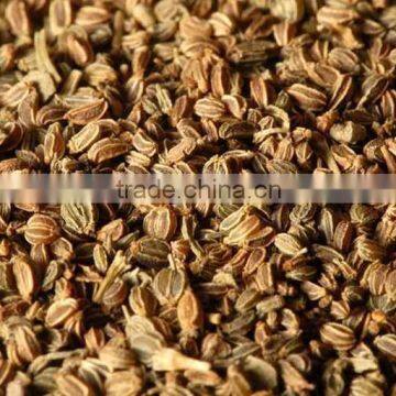 Celery Seeds