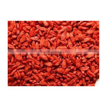 goji berry-High quality ,LOWEST PRICE