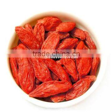 Health tea goji tea goji berries