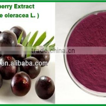 100% Natural Antioxidant Brazilian Acai berry Powder Extract with Anthocynidins 1--10% and Polyphenols 1--10%