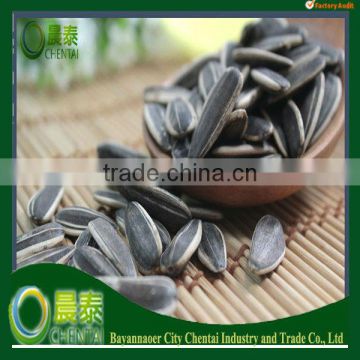 Edible Chinese Shelled Sunflower Seeds 6009 /Sale Sunflower Seeds Raw