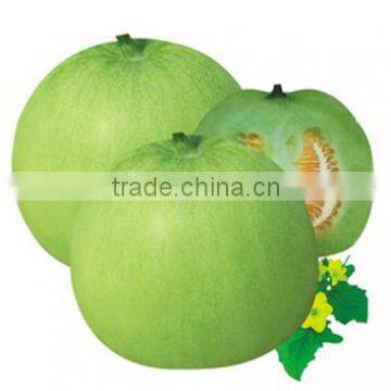 Sweet melon Seed For Sale Sweet Gem