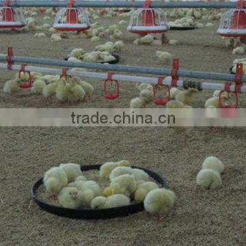 Automatic Nipple Drinker, Chicken Drinker, Drinking Line for Poultry Farming