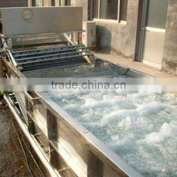 fruit cleaning machine for food processing