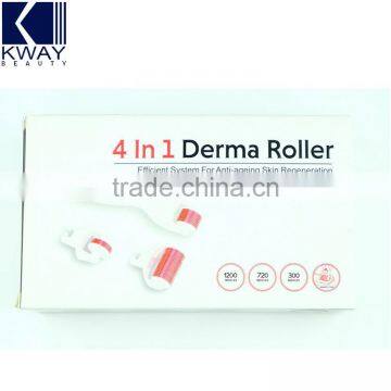 Wholesale Microneedle Derma Roller Private Label 4 in 1 Face Roller Treatment photo-6