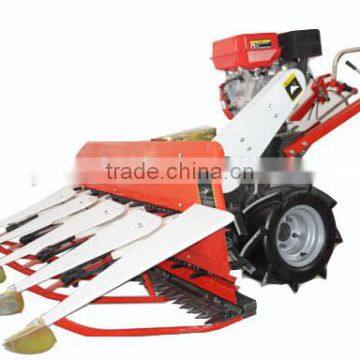 Cheap Multi-function Chili Windrower photo-5