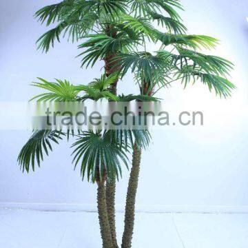 SJ12001163 Top Selling Palm Tree/mini Palme Plant Craft photo-2