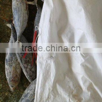 all type of seafrozen skipjack tuna