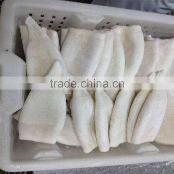 Best Quality New Arrival High Quality Squid Tube u5 u7 U10 photo-4