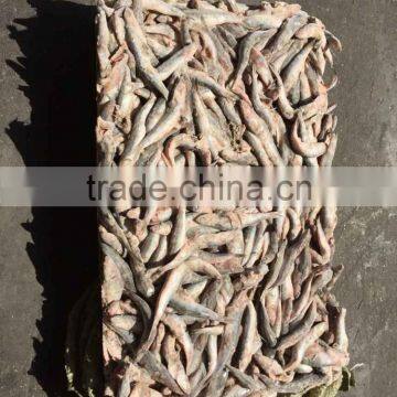 New Landing Fresh Frozen Anchovy photo-2