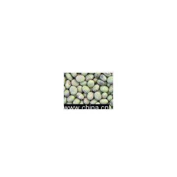 Sell Green Soybean