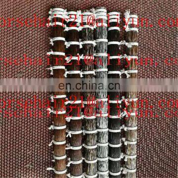 Ebay Horse Tail Hairs / Horsetail Hairs / Horse Hairs photo-5