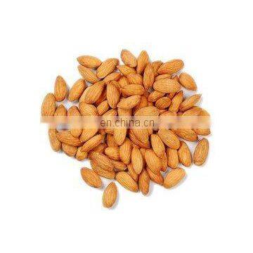 High Quality Almond Peeling Machine,Almond Peeler,Almond Skin Removing Machine photo-3