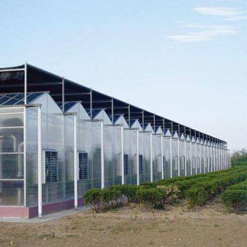 Modern Venlo Type Intelligent Greenhouse Covering PC Sheet photo-5