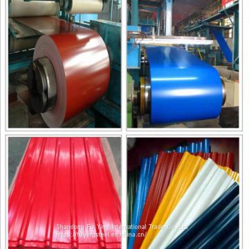 prepainted    steel coil /PPGL