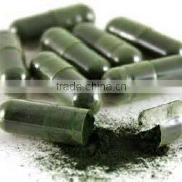 Organic Certified Spirulina Capsules for bulk supply