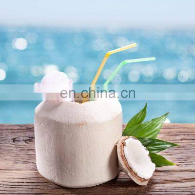 For Drink Healthy And Cheap Price Fresh Coconut Origin From Viet Nam photo-3