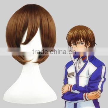 High Quality 35cm Short Straight Brown Synthetic Hair wig Anime Cosplay Wig Party Wig