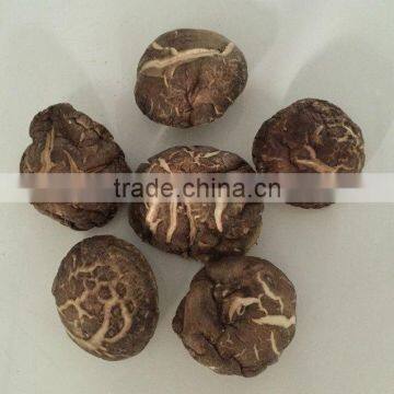 Dried Shiitake Mushroom Prices