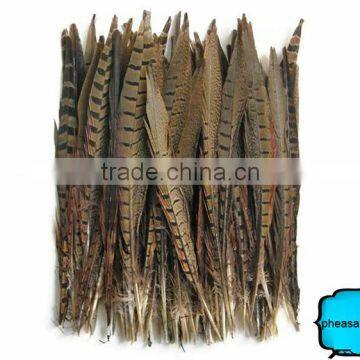 Wholesale Reeves Pheasant Tail Feathers, Natural Pheasant Tail Feathers photo-2