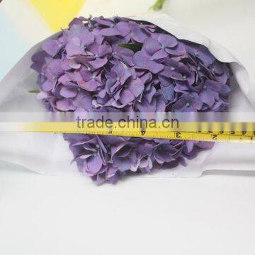 Most Popular Hotsell Hydrangea Flowers photo-4