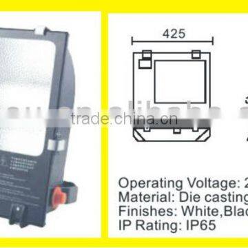 Metal halide light