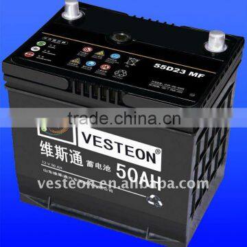 Professional Auto Battery (VDB0179)