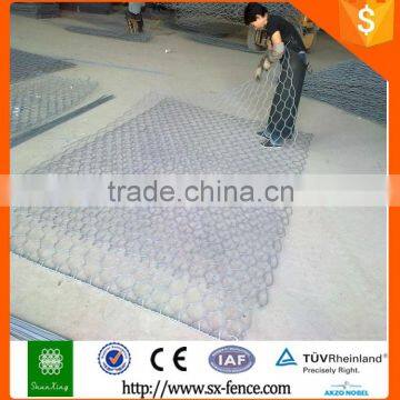 Double twist hexagonal mesh netting