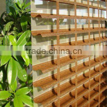 2013 New design of double layer blind Verman blind