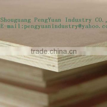 LinYi Mr/E2 glue Packing Plywood Sheet