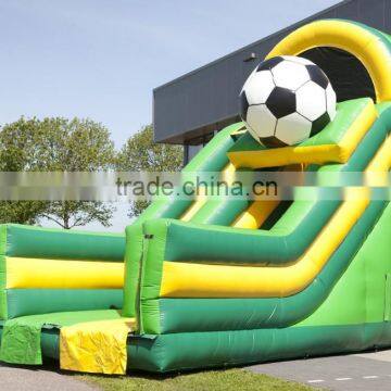 Jumping Castle and Slide Combo,adults Inflatable Slide Juveniles