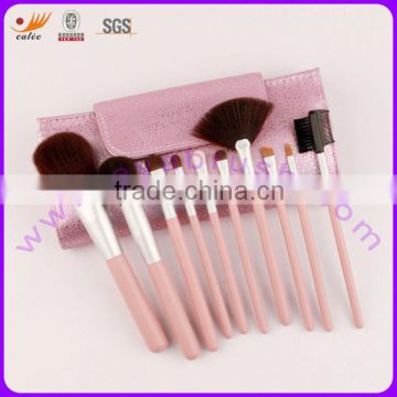 10pcs Professional Makeup Brushes Set with Beautiful Pouch