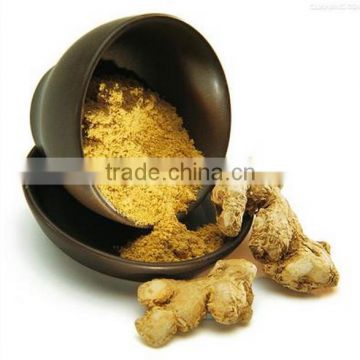 Factory Supply High Purity Ground Ginger Powder with Gingerol