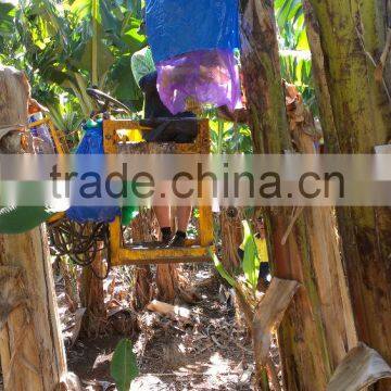 Bolsa de Proteccion Para el Banano photo-6