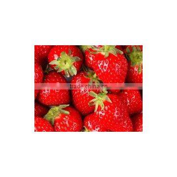 STRAWBERRY photo-2