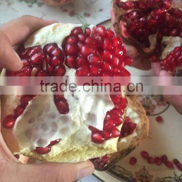 Fresh Pomegranate for Sales photo-5