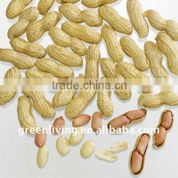 Peanut kernels