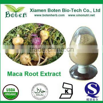 Natural Maca Root Extract Powder